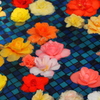 水に浮かぶ花々