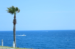夏っぽく