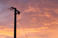 黄昏電柱