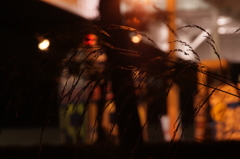 夜風に揺れて