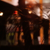 夜風に揺れて
