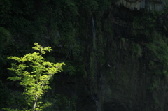 白糸の滝２