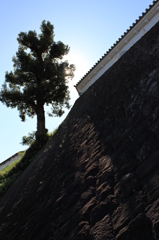 掛川城、ここに建つ！