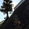 掛川城、ここに建つ！