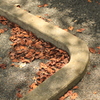 公園落葉