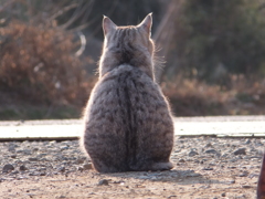 春近し．．．