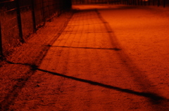 フェンス、その影