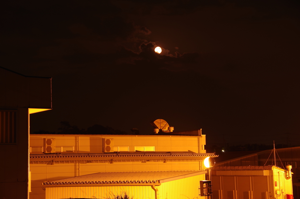 コウジョウの月