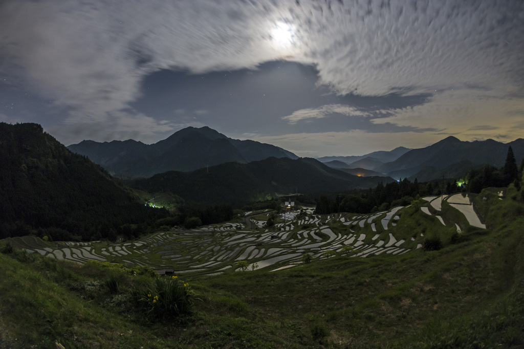月光に照らされる丸山千枚田