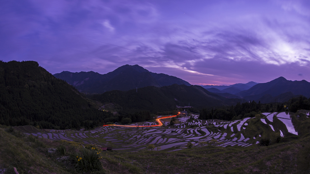 黄昏の丸山千枚田