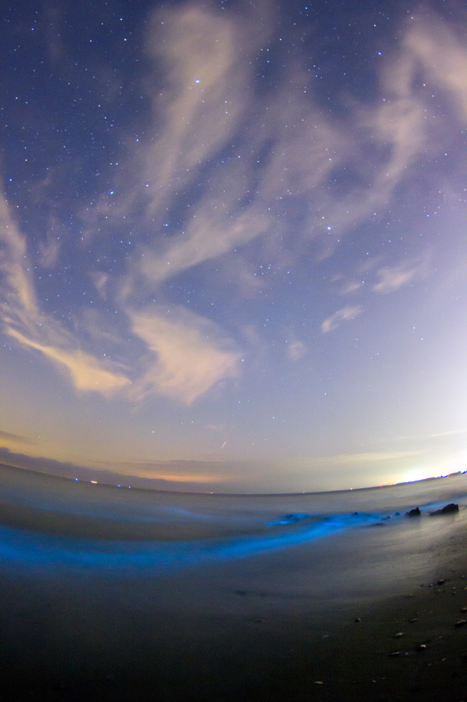 夜光虫と星空