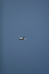 f4phantom　
