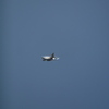 f4phantom　