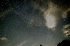 星なのかノイズなのか