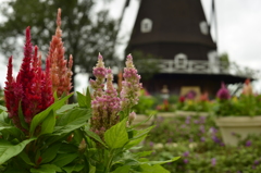 船橋アンデルセン公園