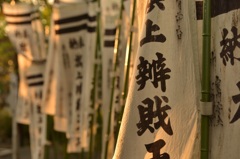 夕暮れの鶴岡八幡宮