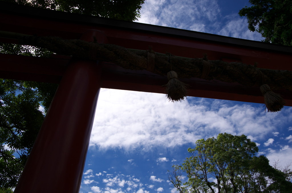 鶴岡八幡宮01