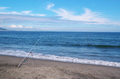 海釣りの風景