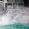 しながわ水族館04