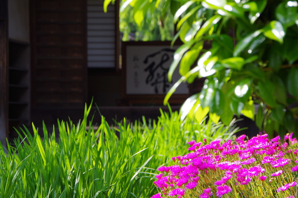 海蔵寺
