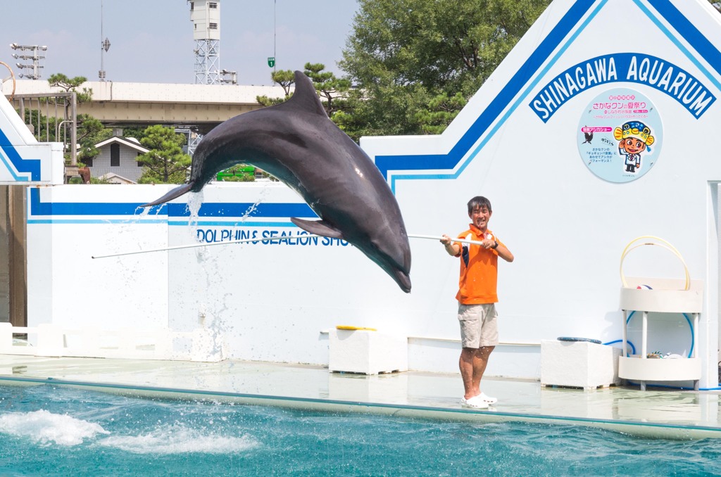 しながわ水族館01