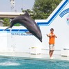 しながわ水族館01