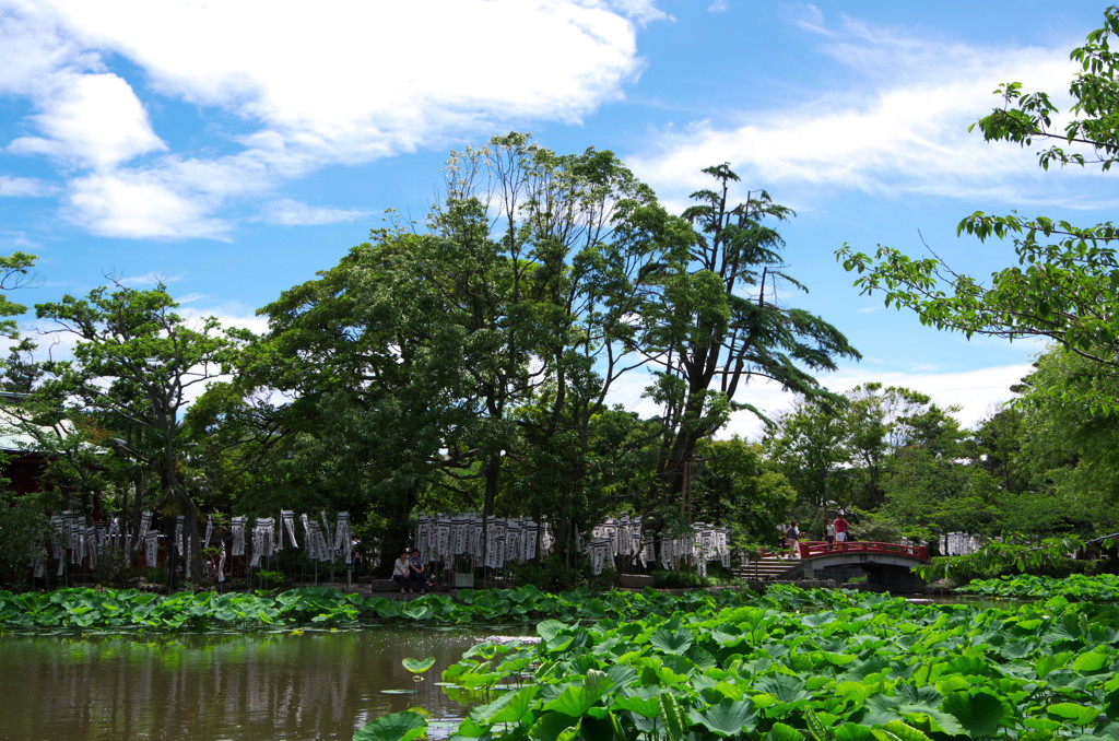 鶴岡八幡宮02