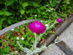 DSC00758
