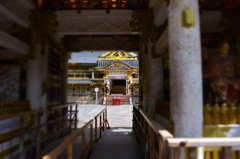 視線の先には
