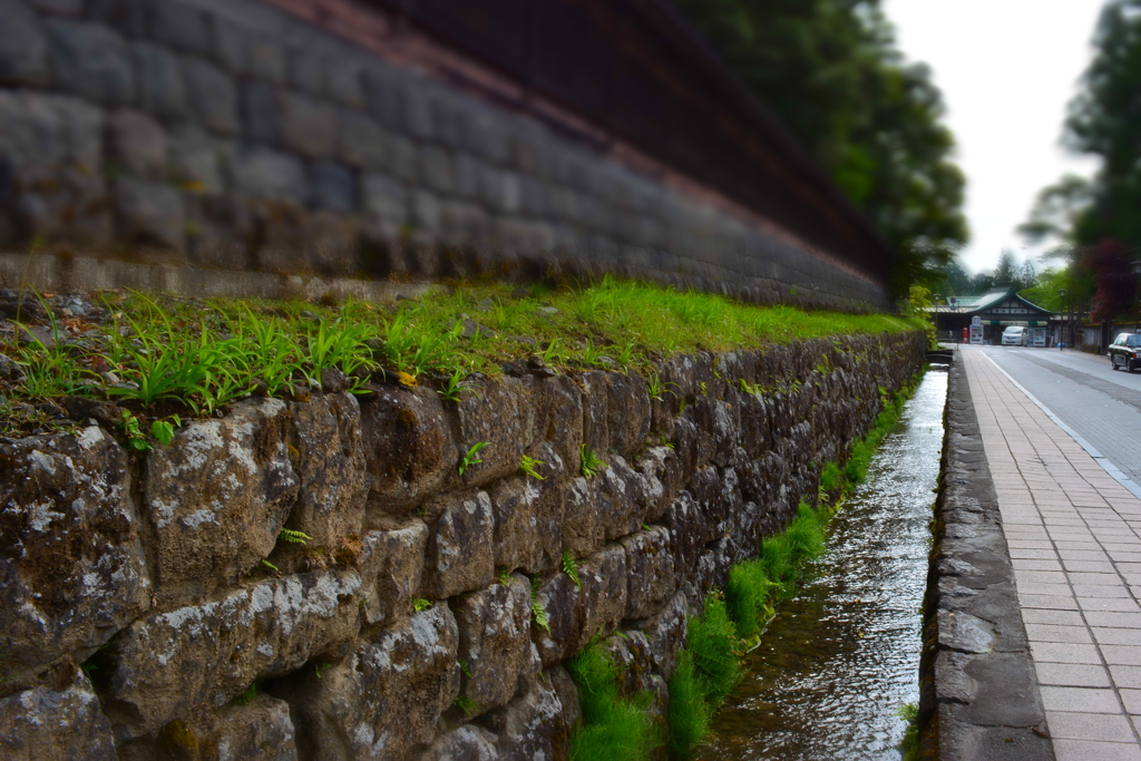 参道に続く道