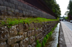 参道に続く道