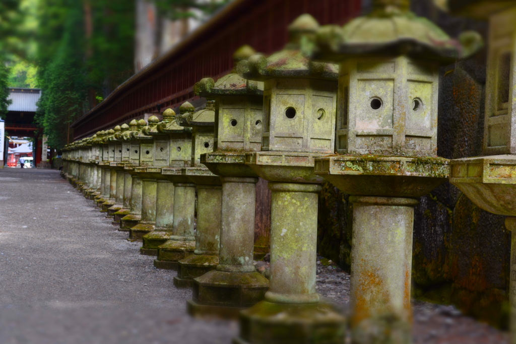 鳥居へと続く道