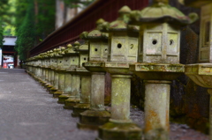 鳥居へと続く道