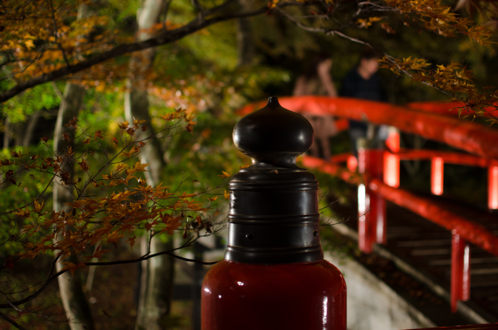 その橋は今日も