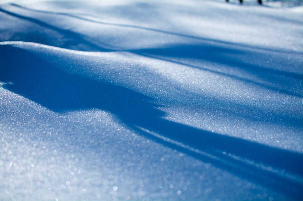 雪原と影