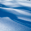 雪原と影