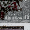 雪のふる公園