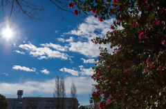 ここから見える空