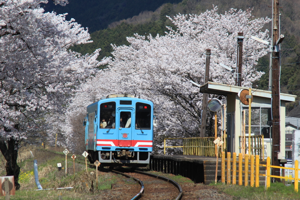 樽見鉄道