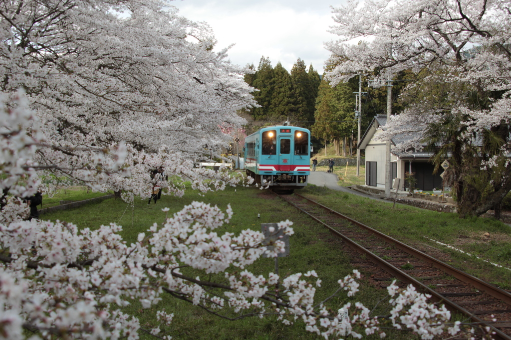 樽見鉄道