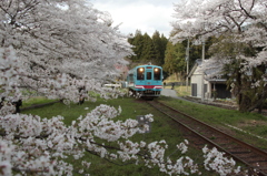 樽見鉄道
