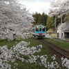 樽見鉄道