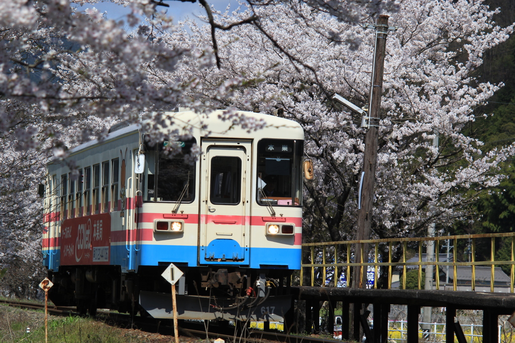 樽見鉄道