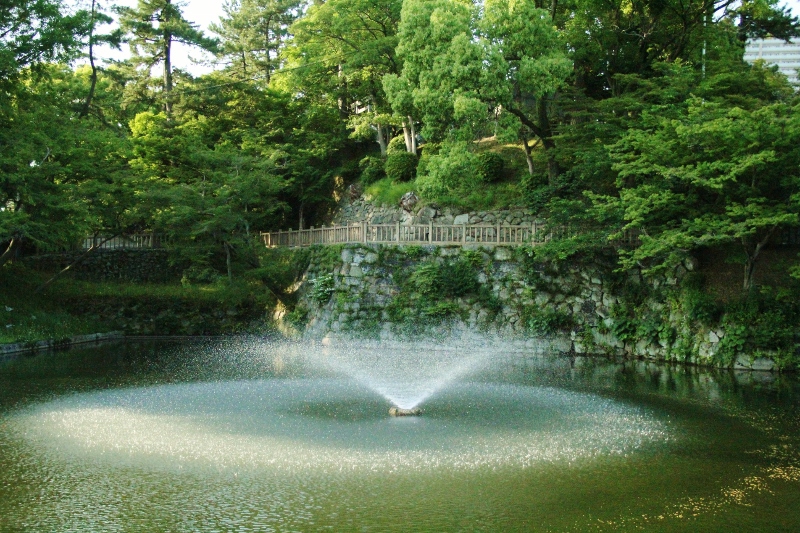 新緑と滴
