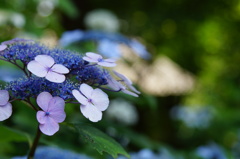 DSC09808