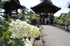 参道