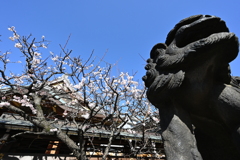 湯島天神