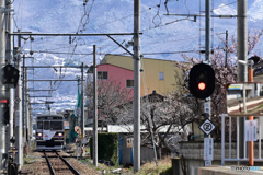 別所線頑張ってます