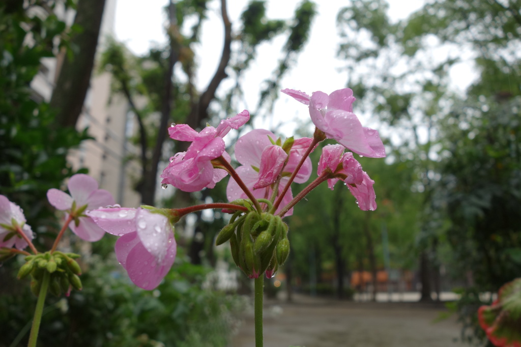 DSC09048