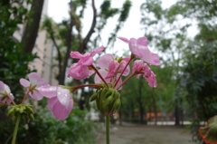 DSC09048